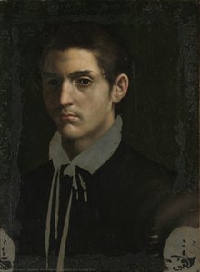 Portrait Of A Young Man — Даниеле Да Волтера