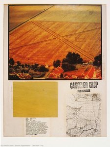 Canceled Crop — Dennis Oppenheim, Conceptual Art