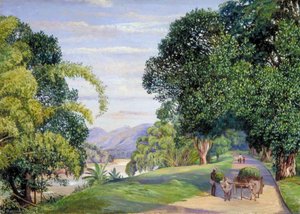 View At Peradeniya, Ceylon — Marianne North