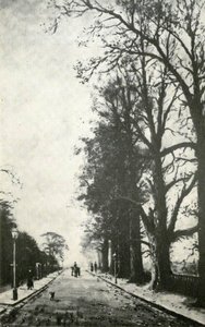 Bruce Grove, Tottenham — John Bonny
