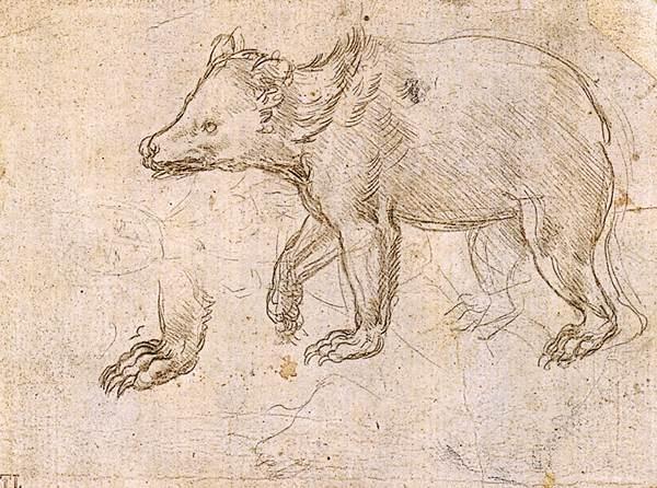 Studien Einer Wanderung — Leonardo Da Vinci