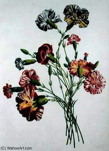 Bouquet Of Carnations — Jean Louis Prevost