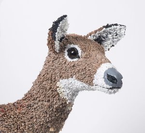 Plastic Planet Doe — Calder Kamin
