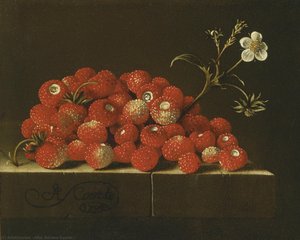 Untitled (aqrd9w) — Nach Adriaen Coorte