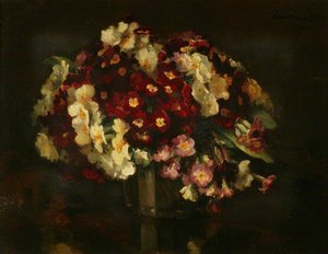 Polyanthus — Gerard Chowne