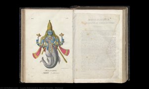 Matsya — Louis Choris